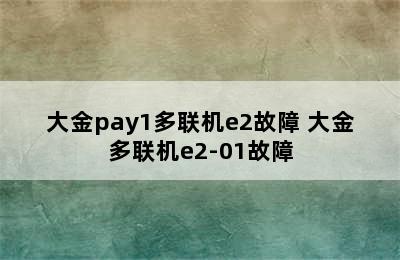 大金pay1多联机e2故障 大金多联机e2-01故障